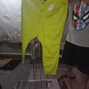 Lanebryant pants size 24